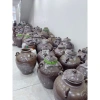 Rượu Đinh Lăng Ngâm 2 Năm 7 Năm Tuổi 50 độ 500ml và 1L - Giá Ưu Đãi 118.986₫ 3