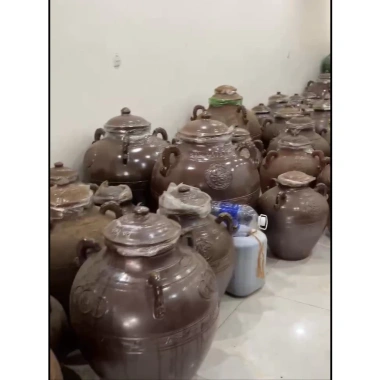 Rượu Đinh Lăng Ngâm 2 Năm 7 Năm Tuổi 50 độ 500ml và 1L - Giá Ưu Đãi 118.986₫ 4