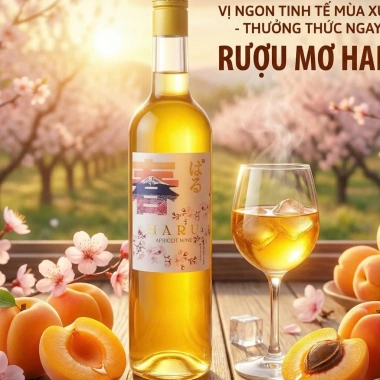 Rượu mơ Haru 15 độ 500ml - Lên men từ mơ tươi, phong cách Nhật Bản, giá ưu đãi 104.000₫ 1 Rượu mơ Haru 15 độ 500ml - Lên men từ mơ tươi, phong cách Nhật Bản, giá ưu đãi 104.000₫ 1