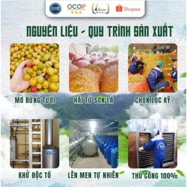 Rượu Mơ Rừng Rucota 5L - Đào Công Thành, Men Tự Nhiên, OCOP 3 sao, Giá 500k