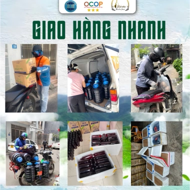 Rượu Mơ Rừng Rucota 5L - Đào Công Thành, Men Tự Nhiên, OCOP 3 sao, Giá 500k