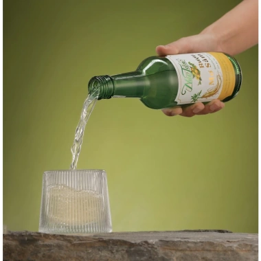 Rượu Mơ Sâm Núi Tản Ginseng Prime 19 - Mơ tươi lên men, Hồng sâm 6 năm Hàn Quốc 360ml 100k
