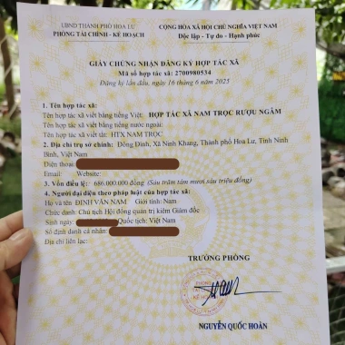 Rượu Ngô Bao Tử Quê Lúa 28° - Thơm Ngon, Dễ Uống, Đậm Đà Hương Ngô Non, Giá chỉ 55.955₫ 8