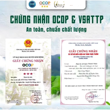 Rượu Táo Mèo Rucota Đào Công Thành 500ml - Đặc sản OCOP 3 sao, lên men tự nhiên, hương vị thơm ngon, giá ưu đãi 116.032đ 5 Rượu Táo Mèo Rucota Đào Công Thành 500ml - Đặc sản OCOP 3 sao, lên men tự nhiên, hương vị thơm ngon, giá ưu đãi 116.032đ 5