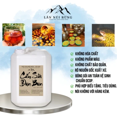 Rượu Trái Cây Lên Men Hạ Thổ 20L – Đặc Sản Thái, Không Đau Đầu, Lân Núi Rừng, 850k 4