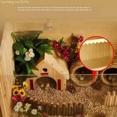 Rutin Giống Gà Hộp Chăn Nuôi Bộ Hoàn Chỉnh - Giá ưu đãi 256.000₫ cho Gia Đình & Gà Thú Cưng 3 Rutin Giống Gà Hộp Chăn Nuôi Bộ Hoàn Chỉnh - Giá ưu đãi 256.000₫ cho Gia Đình & Gà Thú Cưng 3