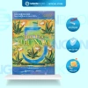 Sách Bốn Thỏa Ước, Thực Hành, Thỏa Ước Thứ Năm, Vòng Tròn Lửa – Giá ưu đãi 93.5k 10