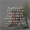 Sách Cây Brooklyn Xanh Biếc A Tree Grows In Brooklyn Giá ưu đãi 201.750 VND 3