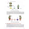 Sách Chuyên đề Học Tập Sinh Học 10 - Kết Nối Tri Thức, Giá Ưu Đãi 47K, Đạt Điểm Cao 9