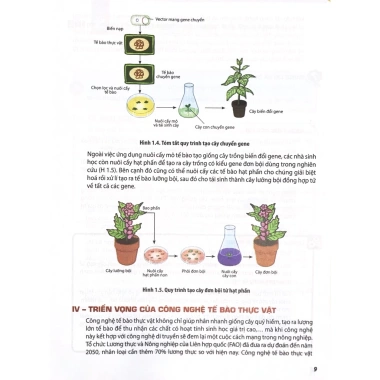 Sách Chuyên đề Học Tập Sinh Học 10 - Kết Nối Tri Thức, Giá Ưu Đãi 47K, Đạt Điểm Cao