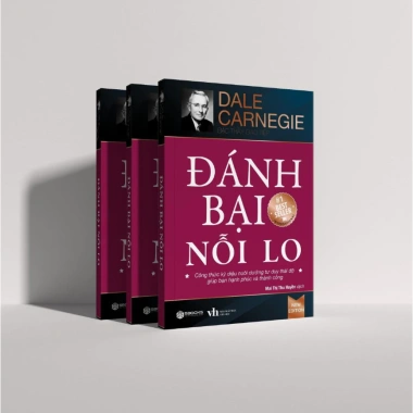 Sách Đánh Bại Nỗi Lo - Học Cách Quản Lý Stress, Giá Ưu Đãi 138k Tại Sbooks Store