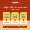 Sách Để Đời Không Bốc Hỏa - Điều Hòa Thể Chất Tinh Thần, Tăng Sinh Lực, Thể Lực, Giá 148.500₫ 6
