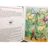 Sách Dế Mèn Phiêu Lưu Ký Bìa Cứng - Truyện Cổ Tích Trẻ Em Giá 150.000 VNĐ 4