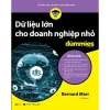 Sách Dữ liệu lớn Doanh nghiệp nhỏ for Dummies - Giá chỉ 95.400 VND 2