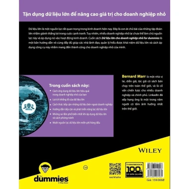 Sách Dữ liệu lớn Doanh nghiệp nhỏ for Dummies - Giá chỉ 95.400 VND 3