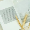 Sách Hạnh Phúc Là Khi Biết Đủ - Tâm lý chữa lành, giảm còn 140k, hạnh phúc 8