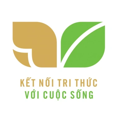 Sách Hoạt Động Trải Nghiệm Hướng Nghiệp 6 - Kết Nối Tri Thức Cuộc Sống, Giá 19.100đ