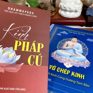 Sách Kinh Pháp Cú bìa đỏ - Thích Minh Châu - Anan Books - Giá ưu đãi 42.000₫ 8