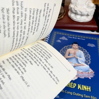Sách Kinh Pháp Cú bìa đỏ - Thích Minh Châu - Anan Books - Giá ưu đãi 42.000₫ 9