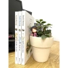 Sách Làm Mới Vườn Tâm - Học thiền, Giá chỉ 96.800đ, giảm so với 123.904đ 7