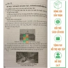 Sách Lịch sử 10 – Hướng dẫn trả lời câu hỏi & bài tập, kết nối tri thức, giá 40.500đ 8