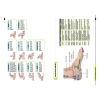 Sách Liệu Pháp Chữa Bệnh Toàn Thân Khu Phản Xạ Bản Hiệu Đính - Giá Bìa 135.000đ, Giảm Giá Đến 118.800đ 5