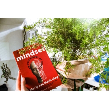 Sách Mindset Tâm Lý Học Thành Công - Psychology Of Success Carol Dweck 159.200₫ 6