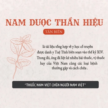 Sách Nam Dược Thần Hiệu (Tân Biên) – Bài Thuốc Hay của Y Tuệ Tĩnh cho Bệnh Thường Gặp, Chỉ 195.000₫