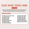 Sách Nam Dược Thần Hiệu (Tân Biên) – Bài Thuốc Hay của Y Tuệ Tĩnh cho Bệnh Thường Gặp, Chỉ 195.000₫ 5