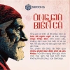 Sách Ông Già Và Biển Cả Hemingway - Giá 79.000đ, giảm từ 101.910đ, SBOOKS 4