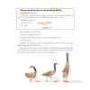 Sách thiếu nhi Hoàng Tử Bé - Độc Đáo, Giá Ưu Đãi 119.250 VND - ndbooks 4