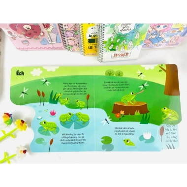 Sách Vòng Đời Của Sâu Và Bướm - Nòng Nọc và Ếch ndbooks Arcturus bản quyền UK giá ưu đãi 63.200₫ 4