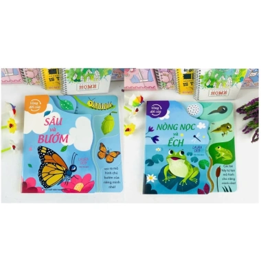 Sách Vòng Đời Của Sâu Và Bướm - Nòng Nọc và Ếch ndbooks Arcturus bản quyền UK giá ưu đãi 63.200₫ 9