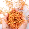 SALE Đông trùng hạ thảo khô 500g - Nấm Đông trùng tăng sức đề kháng, giá 40.000đ 3