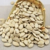 SALE TẾT 500g Hạt Bí Rang Củi Giòn Bùi, Hạt To – Ăn Vặt Ngày Tết Giá 85.000đ 2