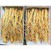 Sâm Hầm Gà Nhân Sâm Hàn Quốc 1kg (20-25 củ) - Tốt sức khỏe, hầm gà, canh - Giá ưu đãi 1.55 triệu 2