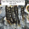 Sâm Tẩm Mật Ong 6 Năm Tuổi Hàn – Nhân Sâm Tươi Bồi Bổ, Tăng Đề Kháng, Quà Biếu 589k