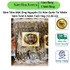 Sâm Tẩm Mật Ong Nguyên Củ Hàn Quốc 6 Năm Tuổi 1kg (14-20 củ) - Bồi Bổ Sức Khỏe, Giá 899k