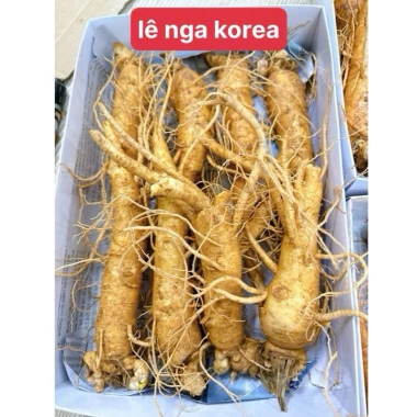Sâm tươi gãy rễ Hàn Quốc 6 năm tuổi - Sâm trọc ngâm mật ong, giảm giá 190k