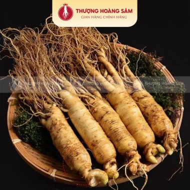 Sâm Tươi Hàn Quốc 4-8 tuổi Geaumsan nhập khẩu - Bồi bổ sức khỏe, 28.000đ 6
