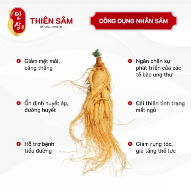 Sâm Tươi Hàn Quốc Geaumsan 4-8 tuổi - Nhập khẩu, bồi bổ sức khỏe - 28.275₫
