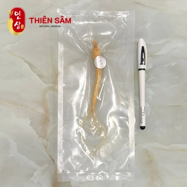Sâm Tươi Hàn Quốc Geaumsan 4-8 tuổi - Nhập khẩu, bồi bổ sức khỏe - 28.275₫