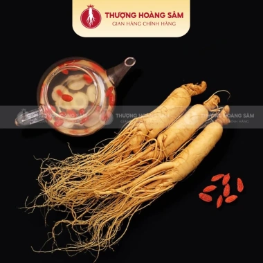 Sâm Tươi Nguyên Củ 8 Năm Tuổi Hàn Quốc Geumsan - Nhân Sâm Thượng Hoàng, Hầm Canh & Ngâm Tửu, Giá ưu đãi 28.250 VND 7
