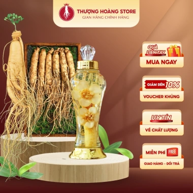 Sâm Tươi Nguyên Củ 8 Năm Tuổi Hàn Quốc Geumsan - Nhân Sâm Thượng Hoàng, Hầm Canh & Ngâm Tửu, Giá ưu đãi 28.250 VND 10