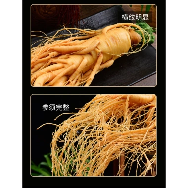 Sâm Tươi Trường Bạch Loại Lớn 300gr - Hoa Nhân, Ủ Rượu Nguyên Củ, Tăng Cường Sức Khỏe Sâm Đế Vương 4