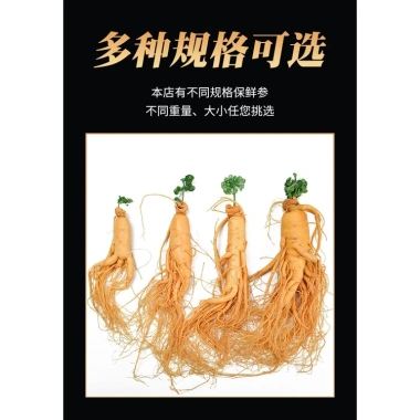 Sâm Tươi Trường Bạch Loại Lớn 300gr - Hoa Nhân, Ủ Rượu Nguyên Củ, Tăng Cường Sức Khỏe Sâm Đế Vương 8