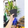 Samsung S21 FE máy đẹp nguyên zin bản Mỹ 6/128GB 1 Sim, RAM 6GB, màn hình 120Hz siêu mượt, chụp ảnh cực nét - 4.59 triệu 3