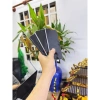 Samsung S21 FE máy đẹp nguyên zin bản Mỹ 6/128GB 1 Sim, RAM 6GB, màn hình 120Hz siêu mượt, chụp ảnh cực nét - 4.59 triệu 4