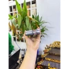 Samsung S21 FE máy đẹp nguyên zin bản Mỹ 6/128GB 1 Sim, RAM 6GB, màn hình 120Hz siêu mượt, chụp ảnh cực nét - 4.59 triệu 5
