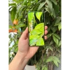 Samsung S23 5G bản Mỹ nguyên zin - 2 SIM, RAM 8/128GB, Snapdragon 8 Gen 2, giá chỉ 8,39 triệu 4